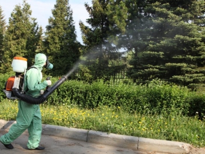 Уничтожение комаров в Черноголовке